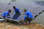 Khuyến khích phát triển điện mặt trời tại Việt Nam