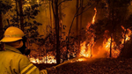  Tăng cường thực hiện các biện pháp cấp bách về phòng cháy chữa cháy rừng trong thời kỳ cao điểm của mùa khô