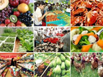 Kế hoạch hành động đảm bảo an toàn thực phẩm trong lĩnh vực nông nghiệp trên địa bàn huyện.