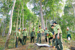 Tăng cường công tác quản lý bảo vệ, phát triển rừng trên địa bàn huyện