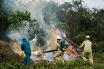 Triển khai cấp bách các biện pháp phòng cháy, chữa cháy rừng