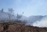 Phê duyệt phương án chữa cháy rừng mùa khô năm 2018-2019