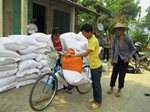 Hỗ trợ gạo cứu đói cho nhân dân do thiên tai gây ra trong vụ Mùa năm 2016