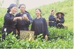 Hướng dẫn thực hiện các giải pháp hỗ trợ hộ nghèo, hộ cận nghèo tiếp cận các dịch vụ xã hội cơ bản về tiếp cận thông tin năm 2020