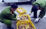 Ngăn chặn tình trạng nhập lậu, vận chuyển trái phép động vật, sản phẩm  động vật nhập lậu từ nước ngoài vào Việt Nam